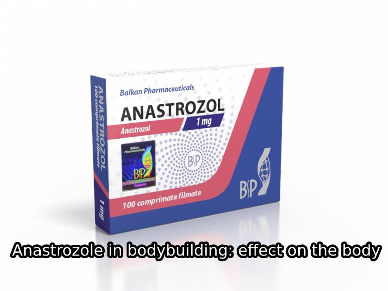 Anastrozole in bodybuilding: effect on the body