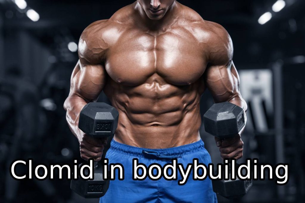 Clomid in bodybuilding