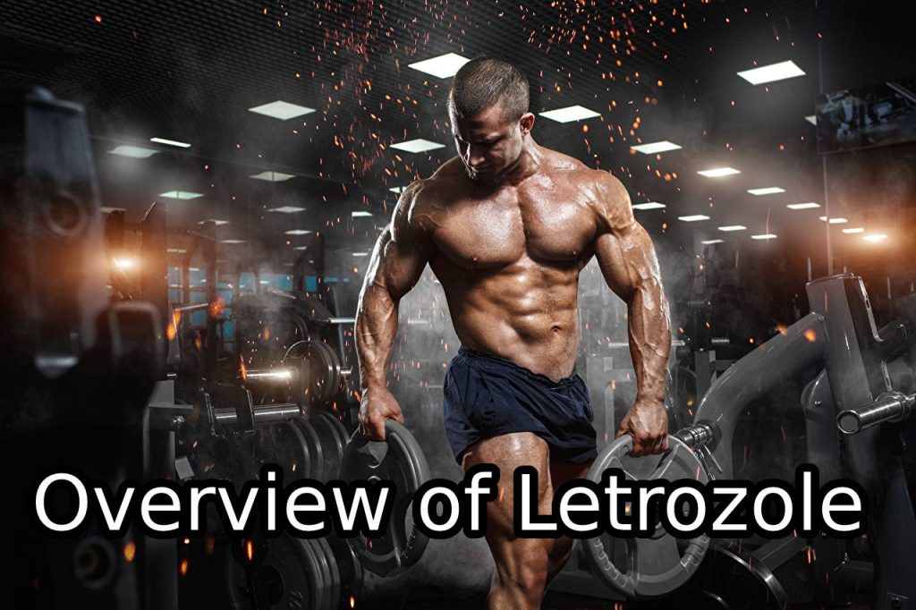 Overview of Letrozole