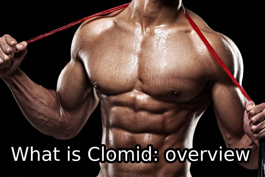 What is Clomid: overview