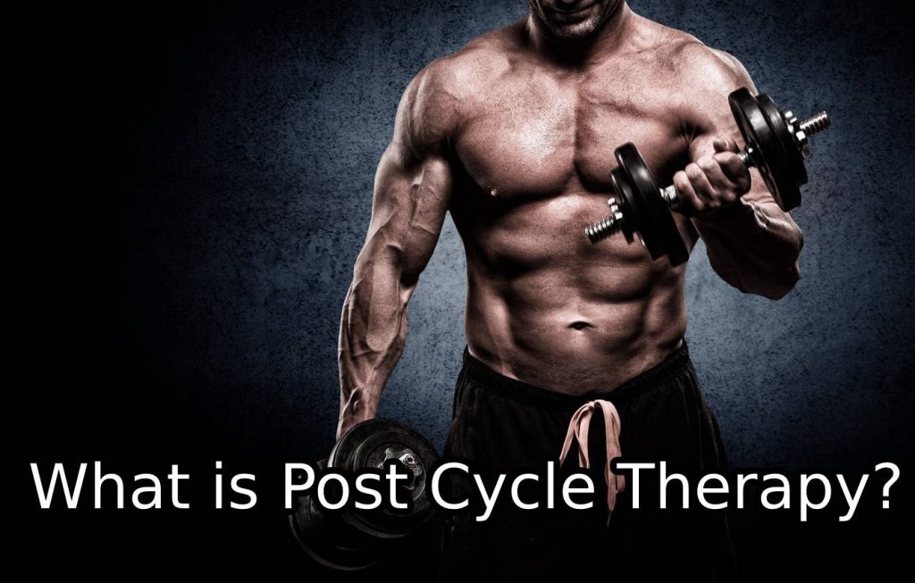 What is Post Cycle Therapy?